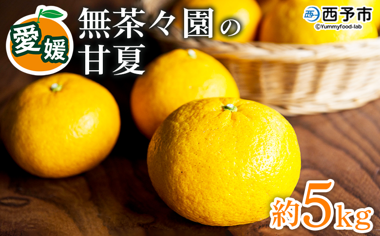 【先行予約】＜無茶々園の甘夏 約5kg＞ 果物 あまなつ みかん ミカン 蜜柑 柑橘 フルーツ 期間限定 季節限定 食べて応援 特産品 愛媛県 西予市
