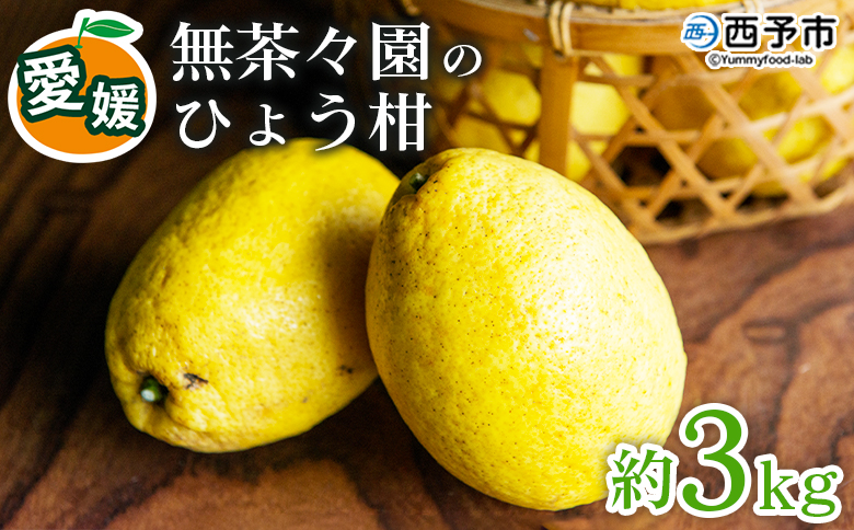 【先行予約】＜無茶々園のひょう柑 約3kg＞ 果物 みかん ミカン 蜜柑 柑橘 フルーツ ひょうかん 弓削瓢柑 特産品 愛媛県 西予市