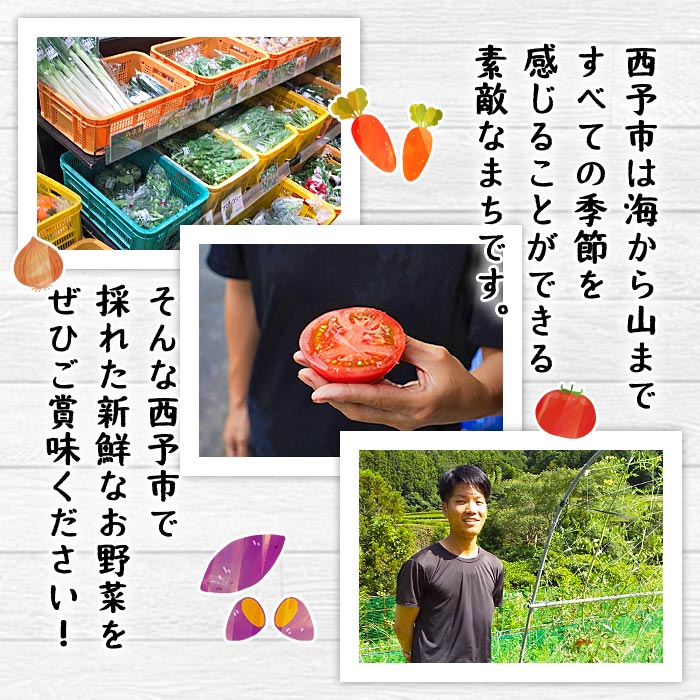 ＜せいよのうまいもんセット 3回定期便＞国産 旬 季節の野菜 やさい 詰め合わせ 愛媛県 西予市