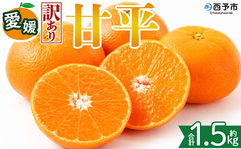 ＜【訳あり】愛媛県産 甘平 約1.5kg＞『2027年2月上旬～3月下旬迄に順次発送予定』 わけあり 訳アリ 甘い かんぺい みかん 蜜柑 訳あり 果物 くだもの フルーツ ミカン シャキシャキ 果汁 国産 株式会社三代目みかん職人 愛媛県 西予市【常温】