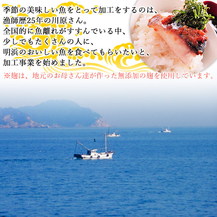 ＜漁師直送 無添加 夏の塩麹 160g×3種セット＞ 魚 詰め合わせ 海鮮 海産物 海鮮セット ハマチ 鯛 イサキ 焼くだけ 簡単調理 処理済み 明浜産 二ノ宮商事株式会社 愛媛県 西予市【冷凍】『2026年4月～9月末迄に順次出荷予定』