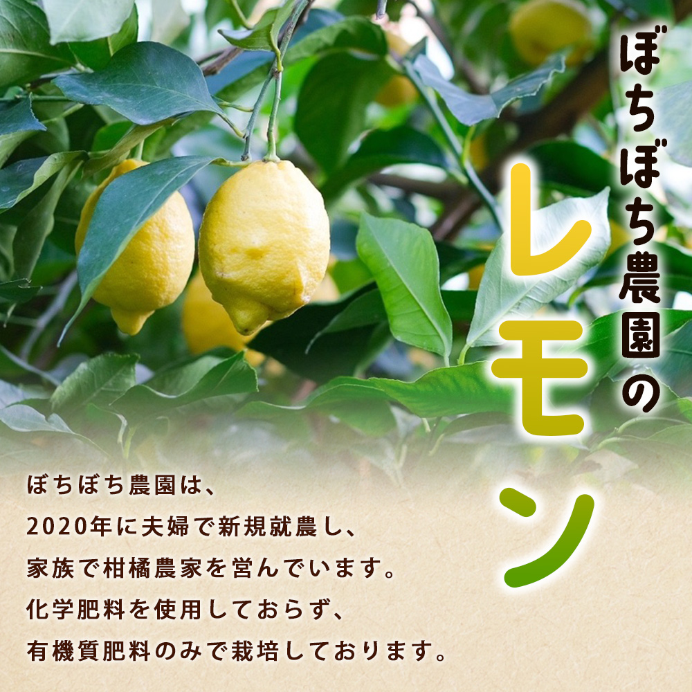 ãŒã¡ãŒã¡èŸ²åã®ã¬ã¢ã³3kgãå®¶åºçš