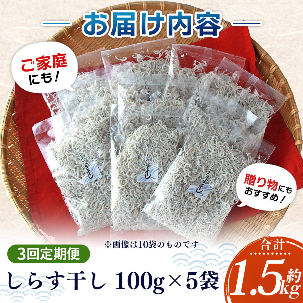＜【3回定期便】漁師さん自慢のしらす干し 合計500g（100g×5パック）＞ シラス 魚介類 さかな 海産物 海鮮 海の幸 小分け 国産 ご飯のお供 丼 おつまみ 晩酌 おかず おやつ 特産品 産地直送 濵田水産 愛媛県 西予市