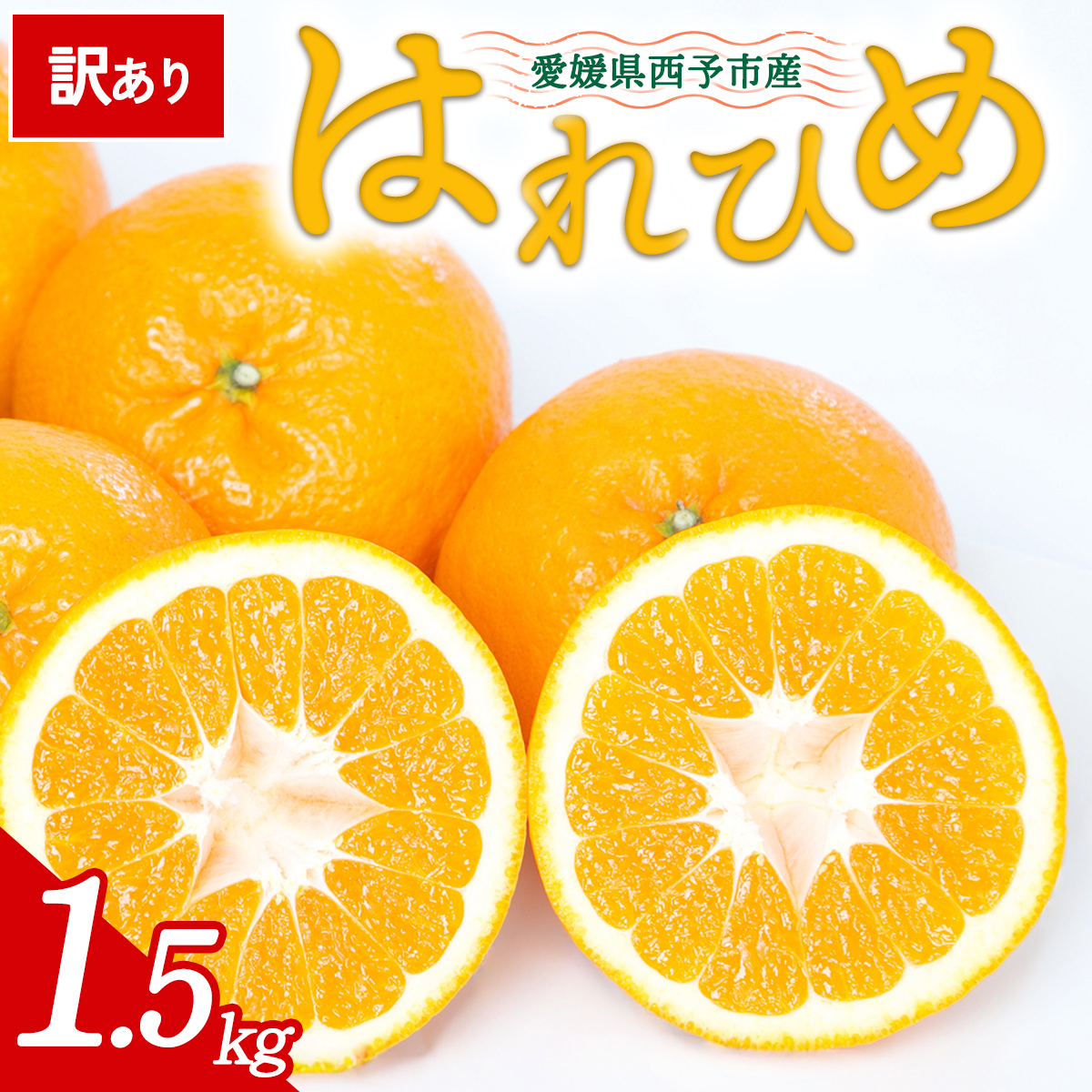 先行予約＜訳あり 愛媛県産 はれひめ 合計約1.5kg＞ 『2026年12月下旬以降順次出荷予定』 みかん フレッシュ ご家庭用 ご自宅 柔らか 果肉 お試し 果物 柑橘 フルーツ オレンジ 国産 産地直送 特産品 ミヤモトオレンジガーデン 愛媛県 西予市【常温】
