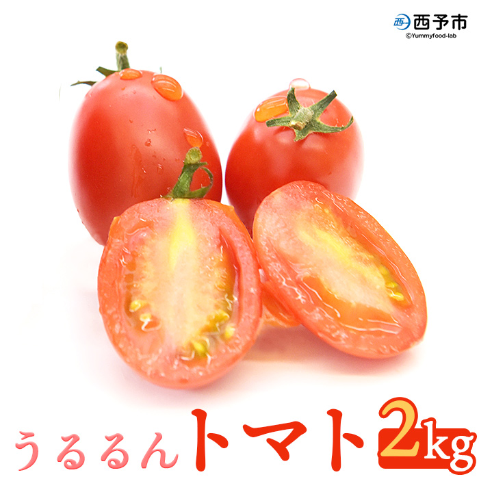 ＜「うるるん トマト」約2kg（250g×4パック×2箱） 甘くて濃厚な味わい＞ 野菜 とまと ミニトマト 特産品 食べて応援 くまさん農園 愛媛県 西予市