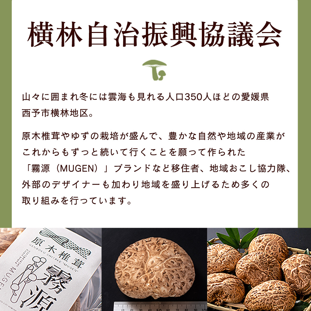 ＜広葉樹の薪 約20kg＞ 冬 キャンプ 焚火 薪ストーブ 自然乾燥 木材 椚 クヌギ 樫 カシ 楢 ナラ たき火 アウトドア ピザ窯 低含水率 愛媛県 西予市