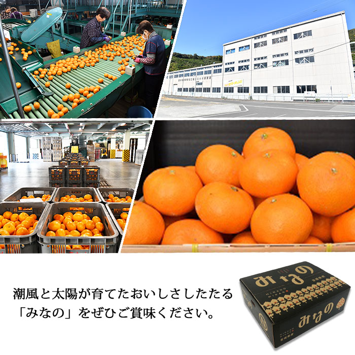 ïŒJAã«ããã æž©å·ã¿ããïŒã¿ãªã®ïŒçŽ5kgïŒ æç© ãã ãã® ãããã
ã ãã«ã³ èæ ææ©é¡ ãã«ãŒã ç¹ç£å 西å®å蟲æ¥ååçµå æåªç 西äºåž