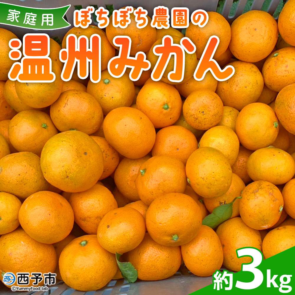 ぼちぼち農園の温州みかん3kg　家庭用