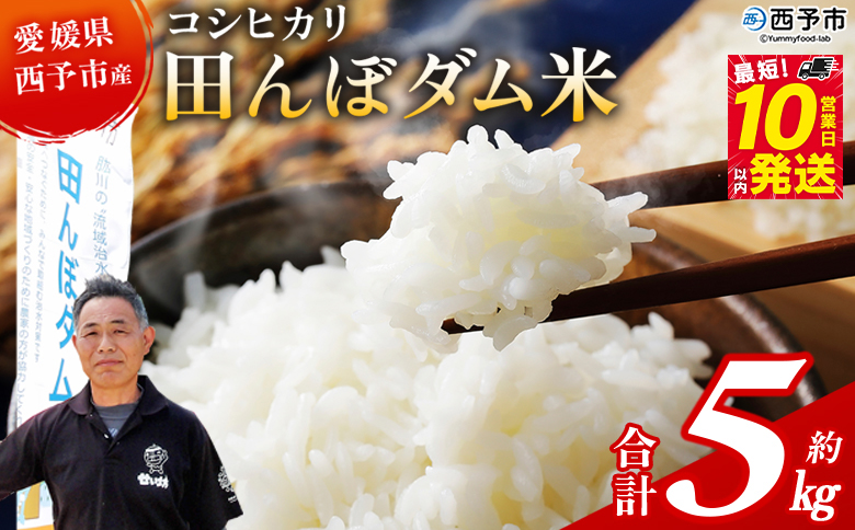 ＜令和7年産 愛媛県西予市産 コシヒカリ 田んぼダム米 5kg＞※最短10営業日以内に順次発送予定 5キロ こしひかり 西予応援米 宇和米 お米 コメ こめ 白米 精米 米 国産 愛媛県産 宇和町産 和みファーム 愛媛県 西予市