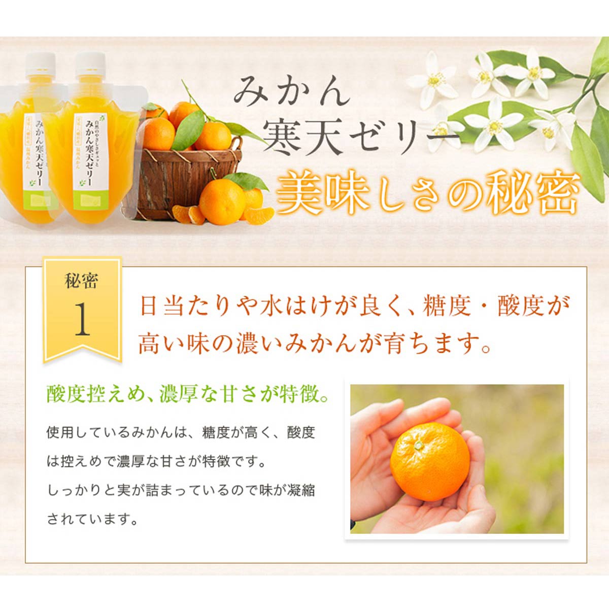 ＜5種の味わい食べ比べ寒天ゼリー＞ 『1か月以内に順次出荷予定』愛媛柑橘セレクション お任せ 贅沢 フルーツ デザート セット 果物 みかん ひんやりスイーツ おやつ ギフト 贈り物 特産品 ミヤモトオレンジガーデン 愛媛県 西予市【常温】