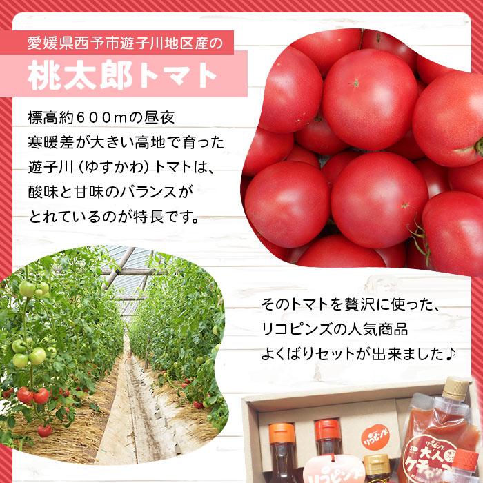 ïŒãããå°œããïŒãªã³ãã³ãºèªæ
¢ã®ããã°ãã»ãã 5çš®Ãå1åïŒ ãšãŸãš éè å®ç èª¿å³æ ãã³é
¢ ã±ãã£ãã åäŸ ãã¬ãã·ã³ã° è©°ãåãã ã®ãã åœç£ ç¹ç£å éåå·ã¶ã»ãªã³ãã³ãº æåªç 西äºåž