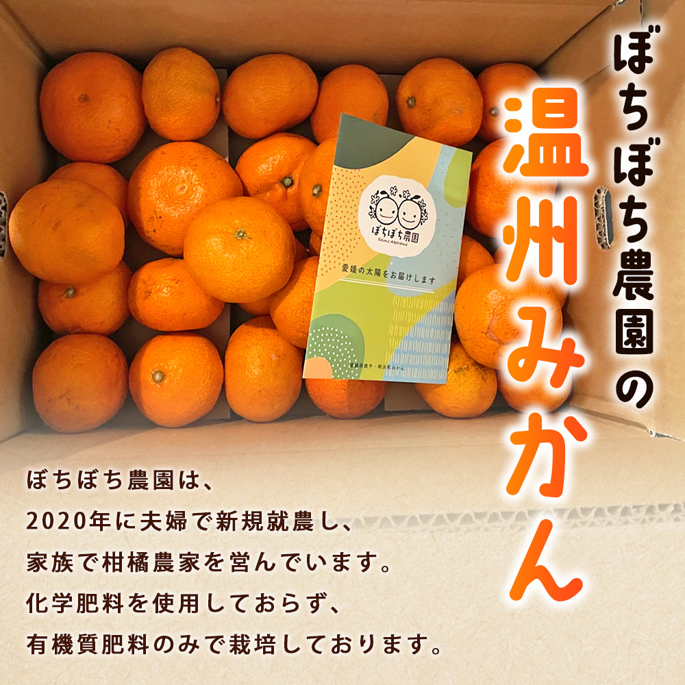 ぼちぼち農園の温州みかん5kg　家庭用