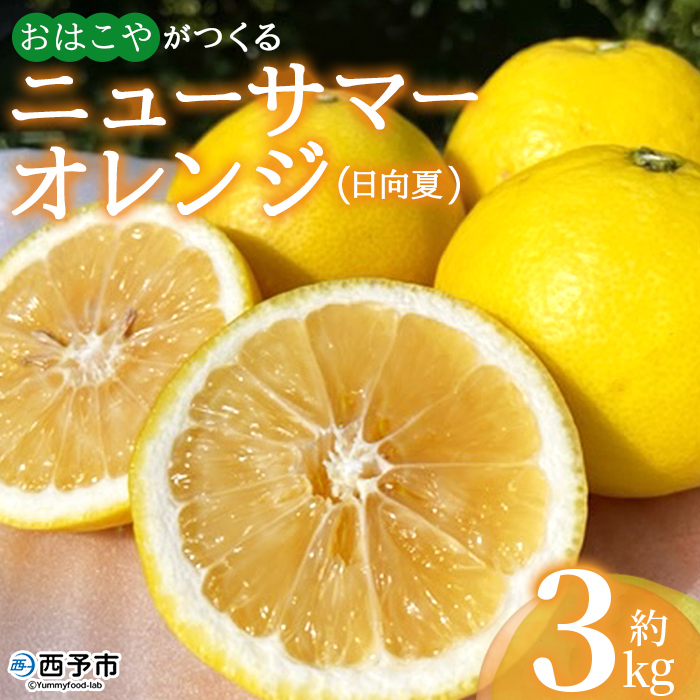 ＜おはこやがつくる ニューサマーオレンジ（日向夏） 約3kg（L～3Lサイズ）＞ 果物 くだもの フルーツ 柑橘 ミカン 蜜柑 みかん にゅーさまーおれんじ 小夏 特産品 西宇和 愛媛県 西予市