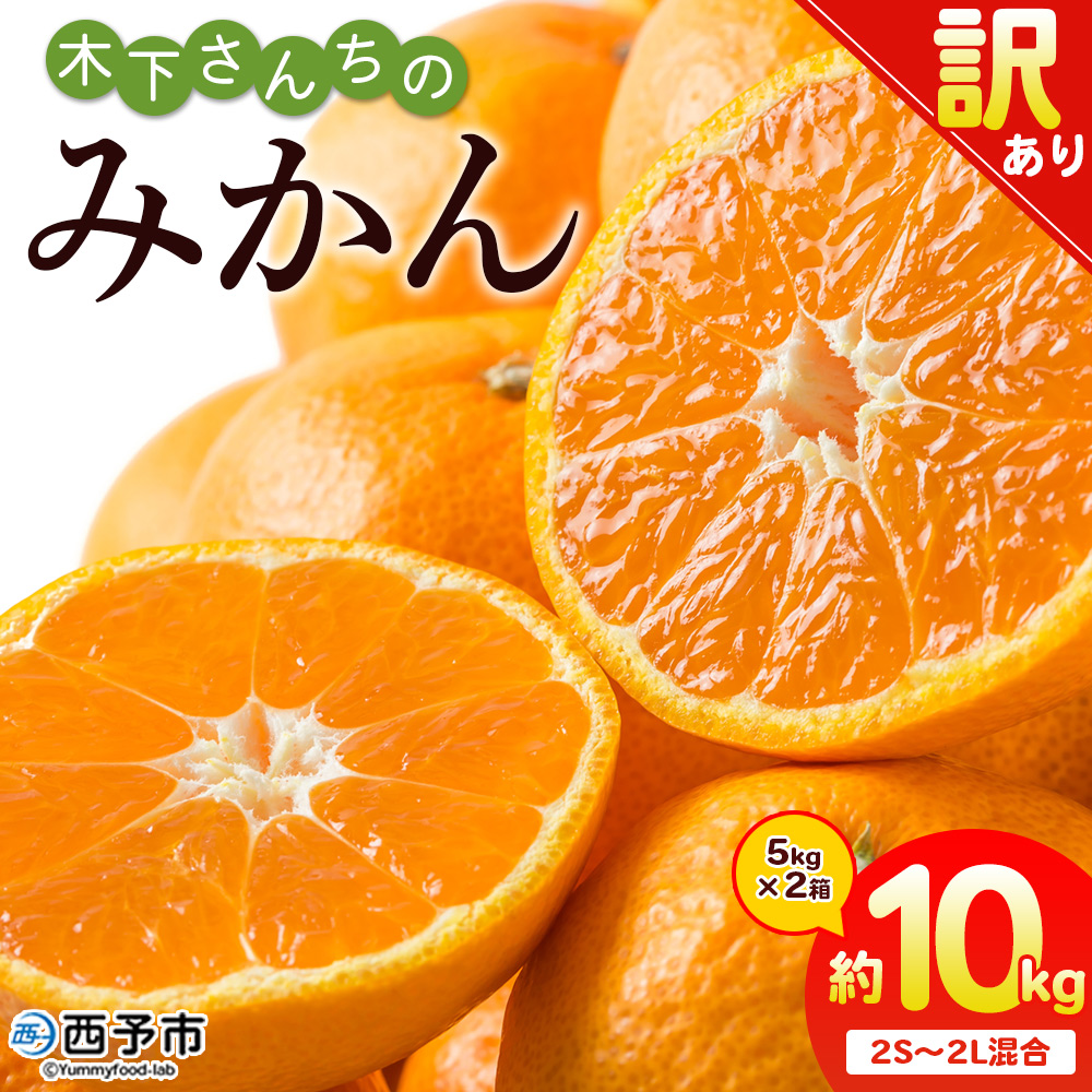 ＜木下さんちのみかん 訳あり 約10kg（2S～2Lサイズ混合）＞ 選べる わけあり 家庭用 柑橘 温州みかん うんしゅうみかん ミカン 蜜柑 果物 くだもの フルーツ 国産 特産品 木下農園 愛媛県 西予市【常温】『2026年11月中旬〜12月下旬迄に順次出荷予定』