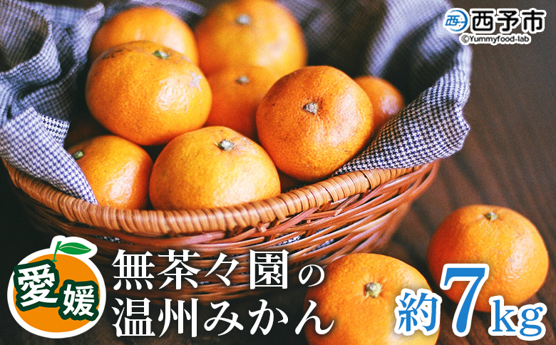 【先行予約】＜無茶々園 温州みかん 約7kg＞ 果物 くだもの ミカン 蜜柑 柑橘 フルーツ うんしゅうみかん 贈り物 ギフト おいしい 期間限定 季節限定 食べて応援 特産品 愛媛県 西予市