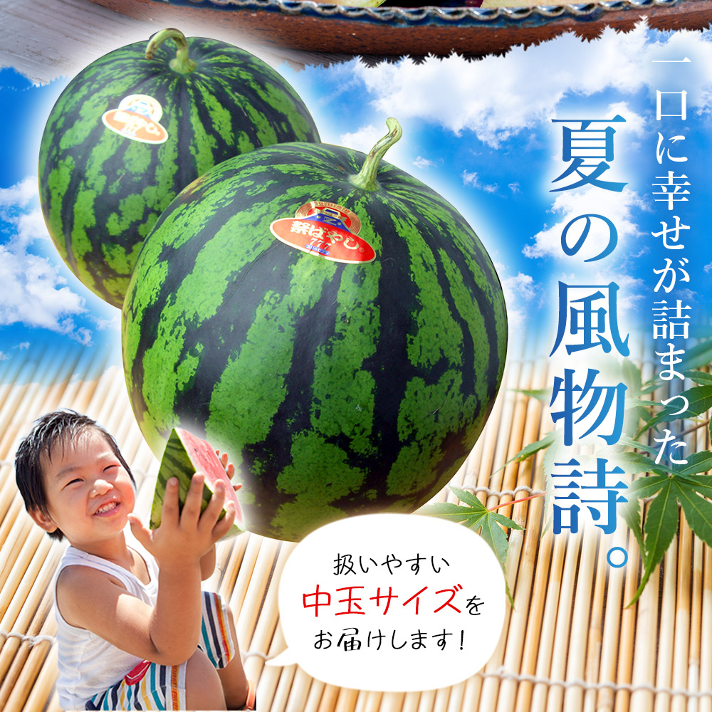 【先行予約】スイカ ＜愛媛県西予市産 中玉西瓜 1玉＞ 果物 くだもの 果肉 西瓜 すいか 中玉 中玉すいか 中玉スイカ M～L 5～7kg 高糖度 甘い 季節 食べて応援 国産 特産品 宇都宮物産 愛媛県 西予市【常温】『2026年7月上旬～8月上旬迄に順次出荷予定』