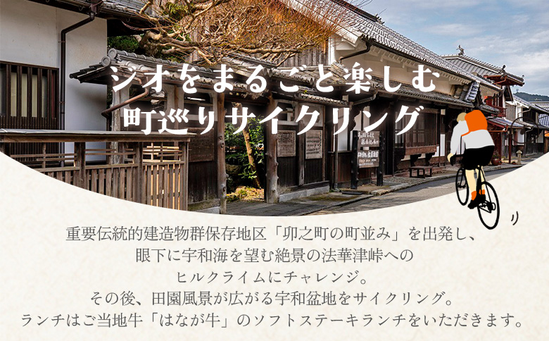 ＜ジオをまるごと楽しむE-BIKEライドツアー 宇和盆地編 （参加人数1名）＞ サイクリング 体験 ツアー 自転車ツアー アウトドア ガイド付き 観光 地域観光 絶景サイクリング Eバイク グルメ ランチ付き 初心者歓迎 旅 非日常 体験型 西予市観光物産協会 愛媛県 西予市