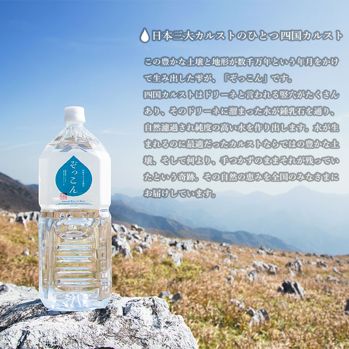 ＜四国カルスト天然水ぞっこん 2L×6本 計12L＞飲料 水 みず 中硬水 弱アルカリイオン水 ペットボトル ウォーター バナジウム 備蓄 防災 キャンプ アウトドア 国産 特産品 ぞっこん四国 愛媛県 西予市