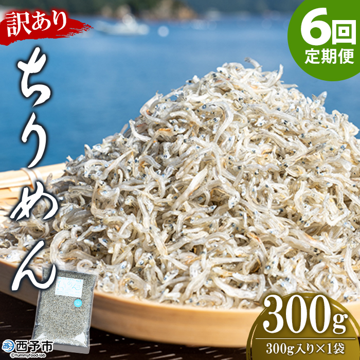 ＜訳あり ちりめん 合計300g（300g入り×1袋） 6回定期便＞ 選べる 定期便 天日干し お徳用 しらす シラス じゃこ 小分け 魚 小魚 海産物 加工品 おにぎり おつまみ おやつ 家庭用 特産品 網元・祇園丸 愛媛県 西予市
