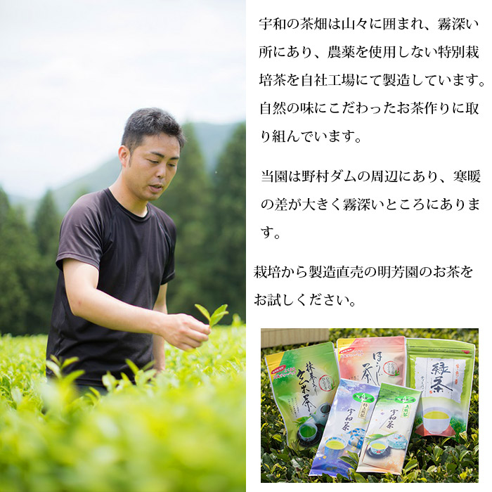 ＜お茶の詰め合わせセット＞ 茶葉 リーフ 日本茶 お茶っぱ 緑茶 抹茶入り 玄米茶 ほうじ茶 特上 煎茶 水出し ティーパック ティーバック お茶の葉 飲み比べ 飲料 国産 バラエティー 特産品 明芳園 愛媛県 西予市 