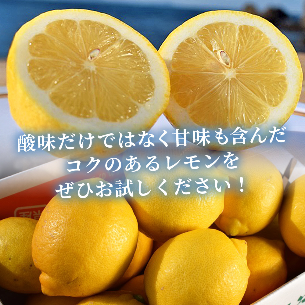 ＜天晴レモン 贈答用 約3kg＞ フルーツ 果物 くだもの レモン れもん 檸檬 柑橘 プレゼント 贈り物 お返し お礼 ギフト アレンジ 料理 国産 国産レモン 愛媛県産 特産品 株式会社笑丸 愛媛県 西予市