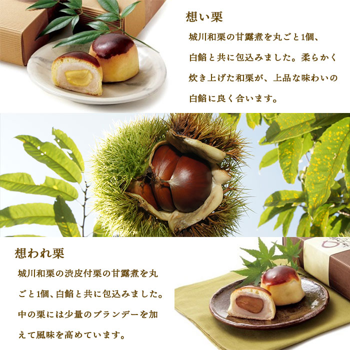 ＜道の駅きなはい屋「想い・想われ」栗菓子セット 12個入り＞お菓子 詰め合わせ 和菓子 まんじゅう 饅頭 くり マロン 和栗 お茶菓子 スイーツ 手土産 白餡 渋皮煮 ブランデー 城川ファクトリー 愛媛県 西予市