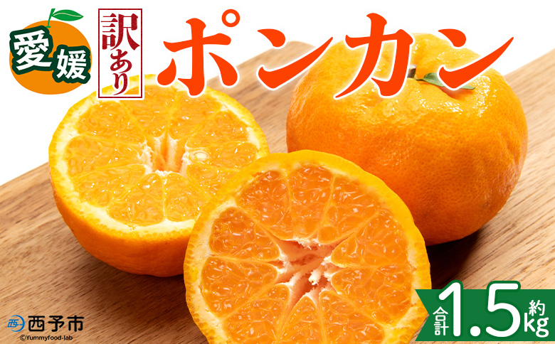 [[訳あり]愛媛県産 ポンカン 約1.5kg]『2027年1月上旬〜3月上旬迄順次発送予定』 わけあり 訳アリ 果肉 ぽんかん ジューシー みかん 蜜柑 果物 くだもの フルーツ ミカン 果汁 国産 特産品 株式会社三代目みかん職人 愛媛 西予市[常温]