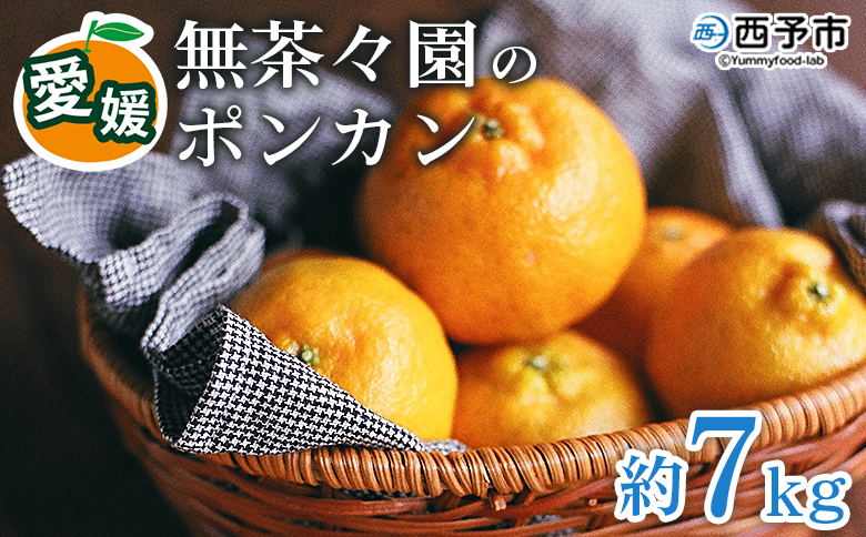 【先行予約】＜無茶々園のポンカン 約7kg＞ 果物 くだもの フルーツ ぽんかん みかん 蜜柑 柑橘類 かんきつ 旬 甘い 濃厚 新鮮 期間限定 季節限定 産地直送 特産品 愛媛県 西予市