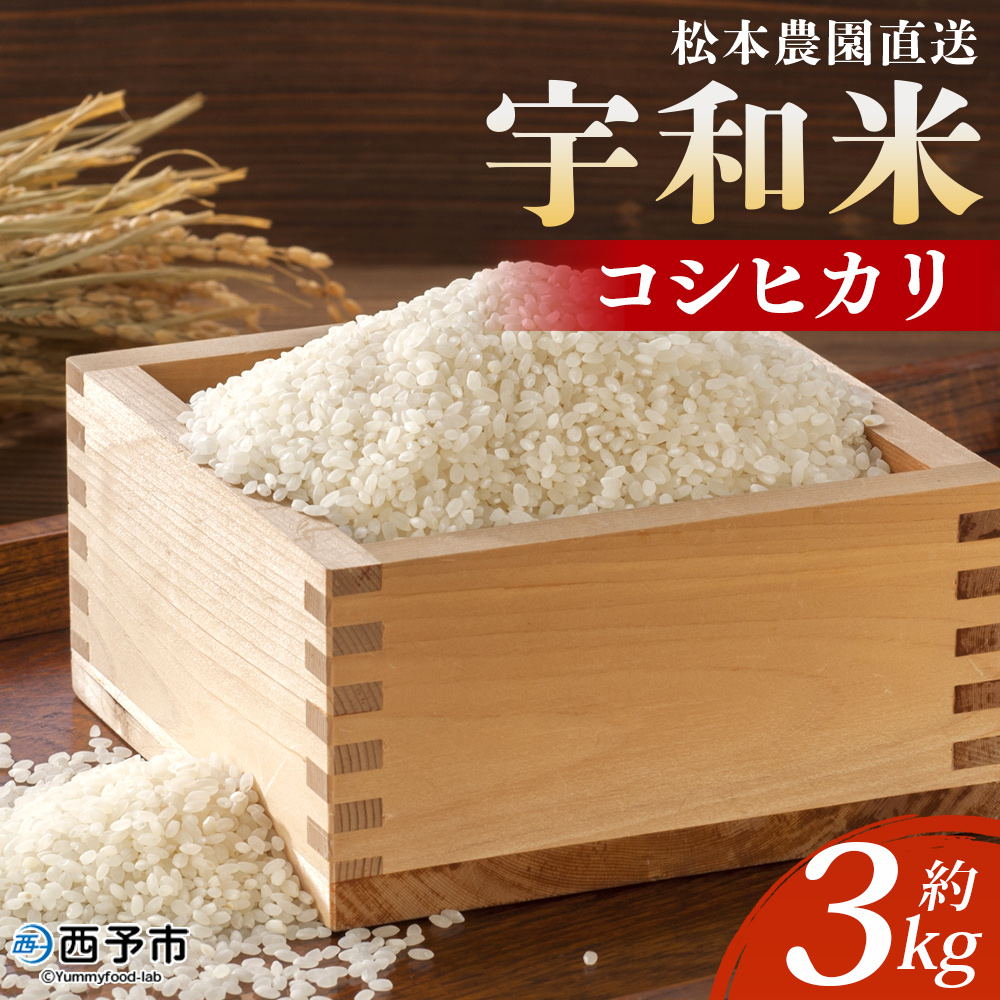 ＜令和7年産 松本農園直送 宇和米（コシヒカリ）約3kg＞ こしひかり 米 コメ こめ 白米 精米 うわまい ご飯 新鮮 3キロ 選べる お弁当 朝 昼 夜 国産 特産品 愛媛県 西予市