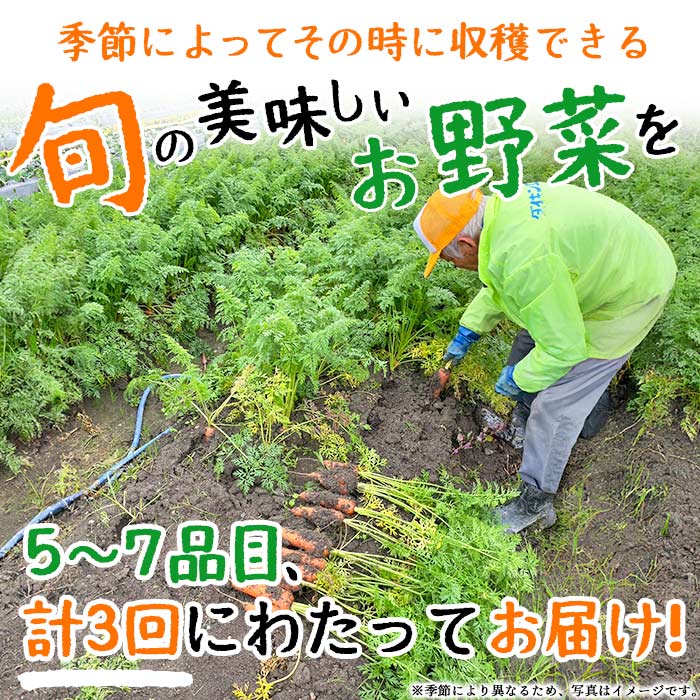 ＜せいよのうまいもんセット 3回定期便＞国産 旬 季節の野菜 やさい 詰め合わせ 愛媛県 西予市