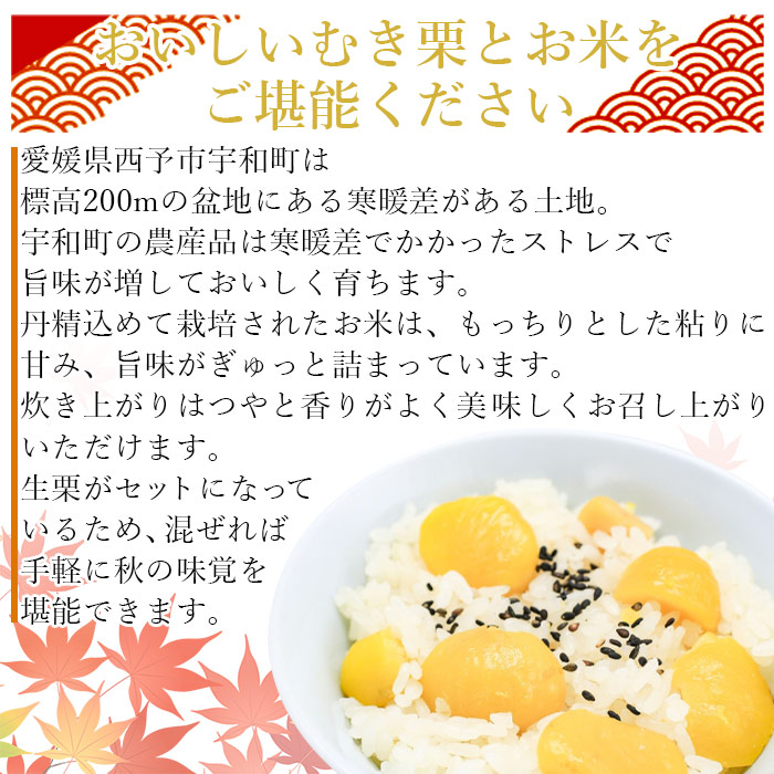 ＜愛媛県西予市産 栗ご飯セット（生栗 1.5kg・コシヒカリ 2kg）＞ クリ 和栗 米 くりごはん 秋の味覚 愛媛県 西予市