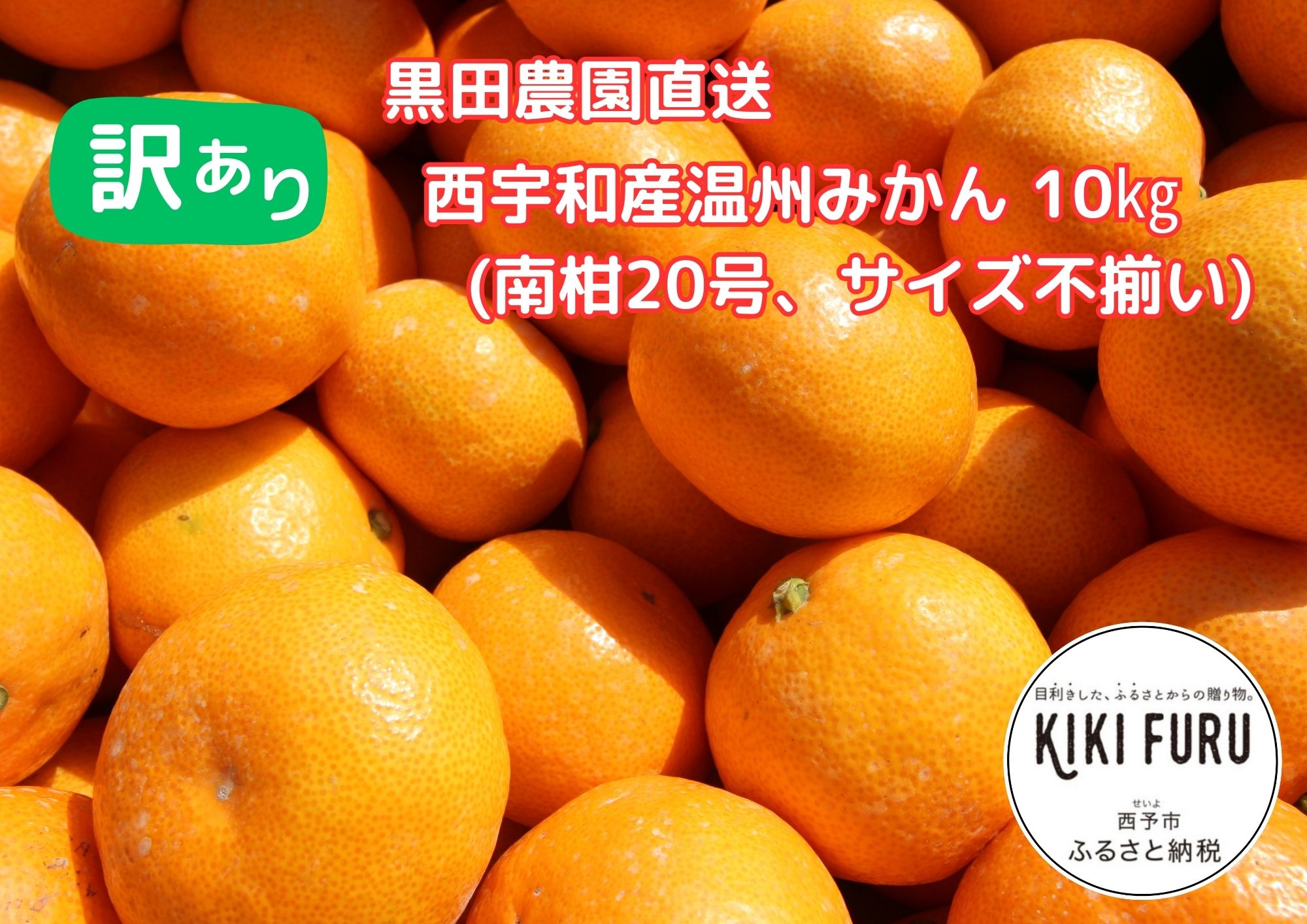 【訳あり】黒田農園直送　西宇和産温州みかん　10kg(南柑20号、サイズ不揃い)