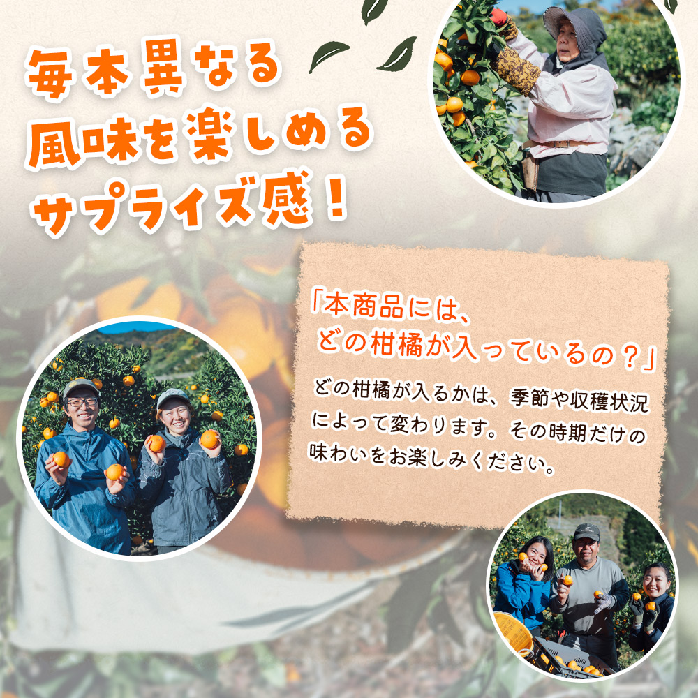 ＜農家めぐり 狩江柑橘ジュース 6選（多品種）＞ 多品種 アソート 愛媛県産 飲料 ジュース 国産 みかん 蜜柑 ミカン ストレートジュース 果汁 セット 飲み比べ 詰合せ 6本 企業組合かりエンジョイ 愛媛県 西予市 【常温】『4月中旬以降順次出荷予定』
