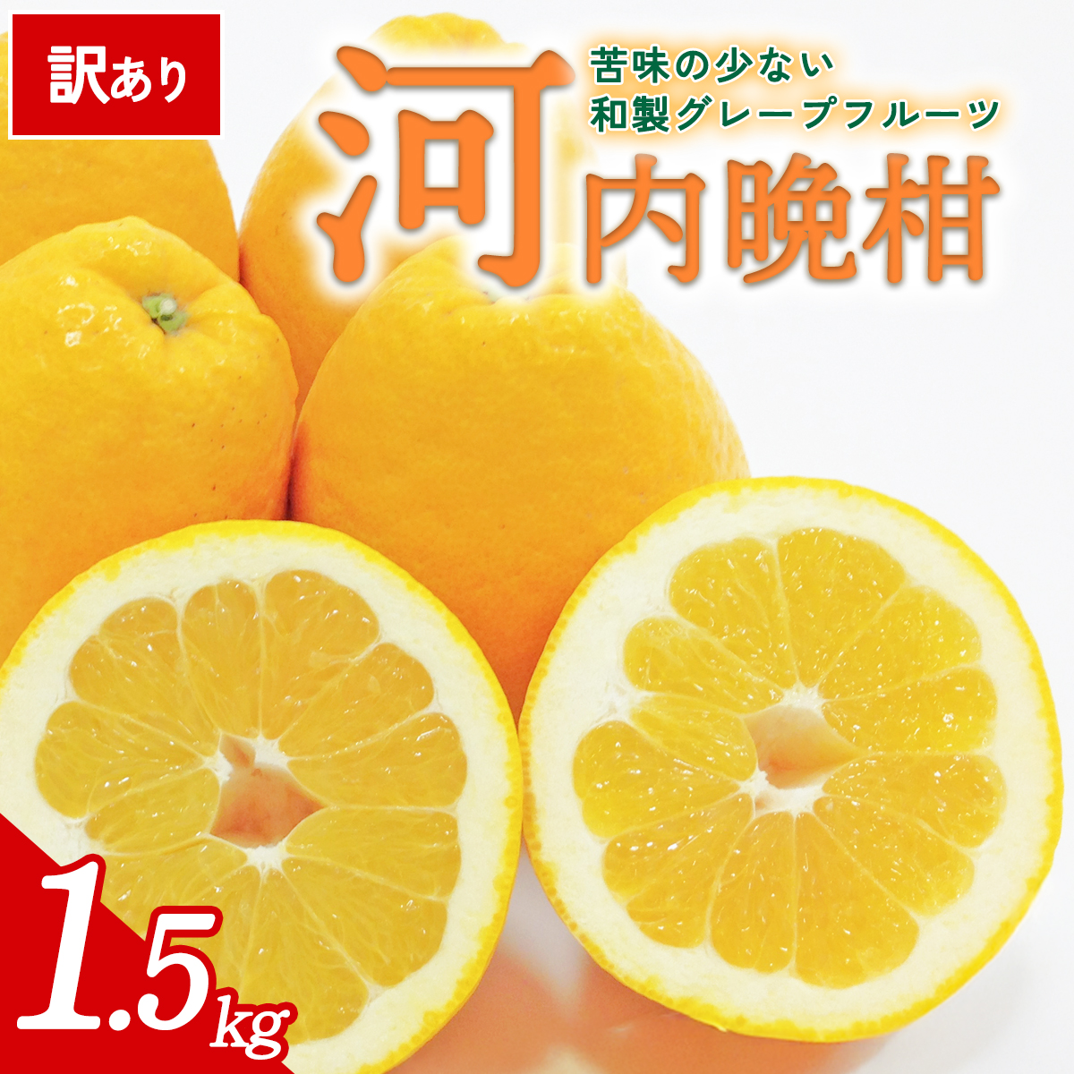 先行予約＜訳あり 愛媛県産 河内晩柑 合計約1.5kg＞ 『2026年4月下旬以降順次出荷予定』ばんかん 和製 グレープフルーツ ご家庭用 ご自宅 蜜柑 果肉 果物 柑橘 フルーツ オレンジ 国産 産地直送 ミヤモトオレンジガーデン 愛媛県 西予市【常温】