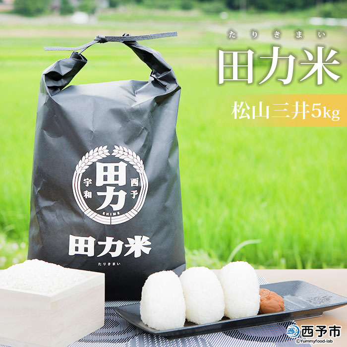 ＜令和6年産 田力米 5kg 松山三井＞ お米 こめ コメ 愛媛県 西予市