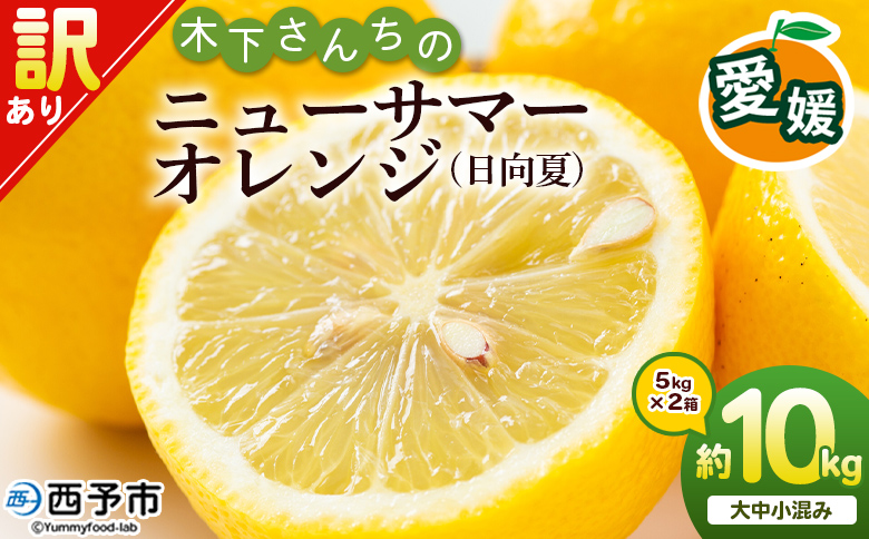 ＜木下さんちのニューサマーオレンジ 訳あり 約10kg（大中小サイズ混み）＞ 柑橘類 日向夏 ミカン 蜜柑 果物 くだもの フルーツ 国産 特産品 木下農園 愛媛県 西予市【常温】『2027年4月上旬〜5月中旬に順次出荷』