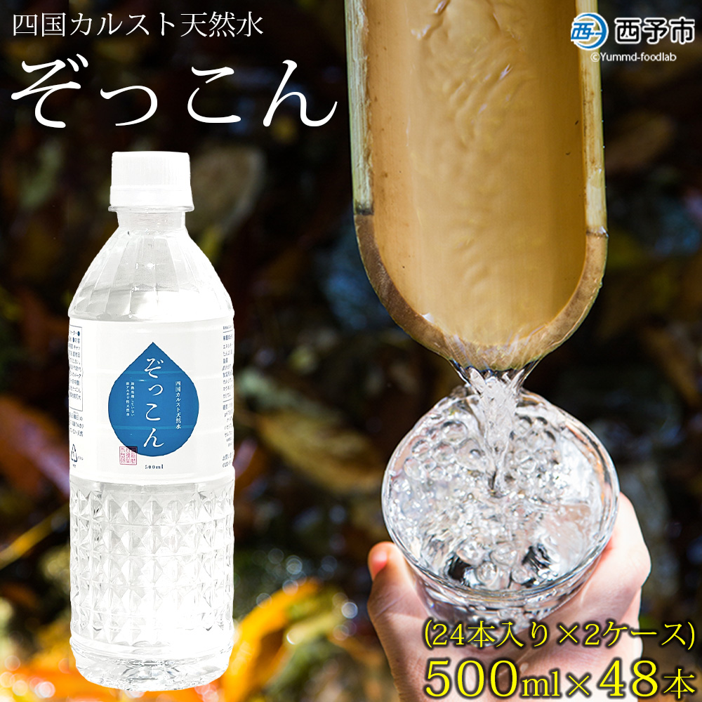 ＜四国カルスト天然水ぞっこん 500ml(24本入り)×2ケース 計48本＞ 飲料水 みず 中硬水 弱アルカリイオン水 ペットボトル ウォーター バナジウム 備蓄 防災 キャンプ アウトドア 国産 特産品 ぞっこん四国 愛媛県 西予市