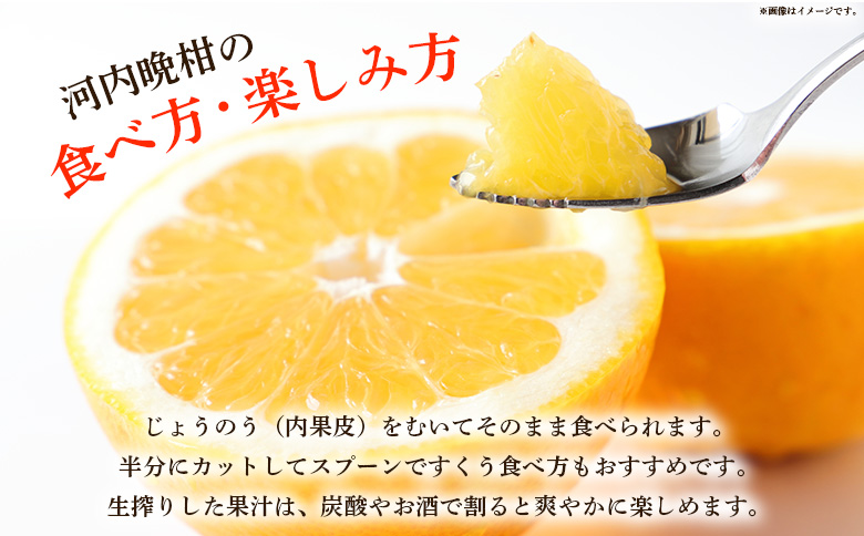 ＜愛媛県産 河内晩柑 約8kg（M～2L）＞ 柑橘 みかん フルーツ 和製グレープフルーツ ジューシー 初夏 旬 サイズ混合 西宇和 国産 さっぱり 甘い 農園オレンジとムラサキ 西予市