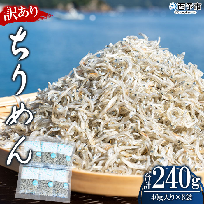 ＜訳あり ちりめん 合計240g（40g入り×6袋）＞ しらす シラス じゃこ 小分け おすそ分け 無添加 小魚 ご家庭用 愛媛県 西予市