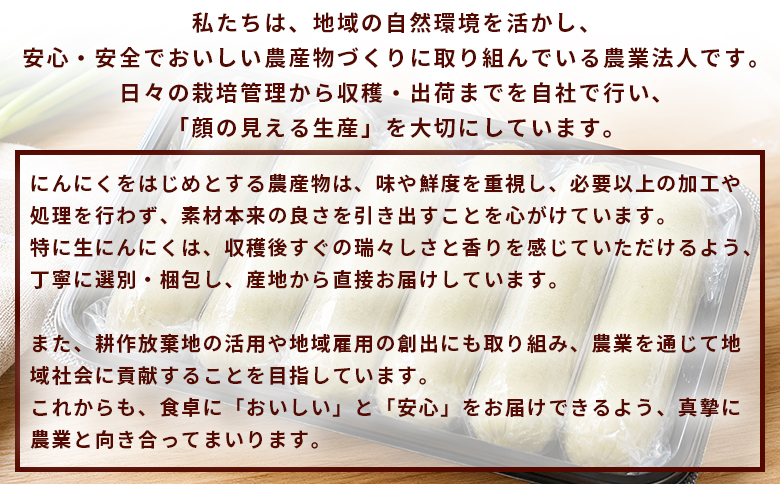 ＜朝霧ネギ入りチキンプロテインバー 12本セット＞朝霧ネギ ネギ 青ネギ 国産ネギ プロテイン プロテインバー チキンバー サラダチキン チキンスティック 鶏むね肉 国産鶏肉 冷凍食品 ノムランド 愛媛県 西予市【冷凍】『2026年6月～12月末までに順次出荷予定』