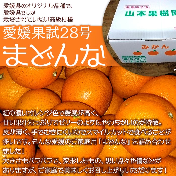 ＜まどんな 約４kg（家庭用・M～3Lサイズ混合）＞ 果物 オレンジ フルーツ 柑橘 みかん 愛果28号 マドンナ 自宅用 産地直送 西宇和 愛媛県 西予市