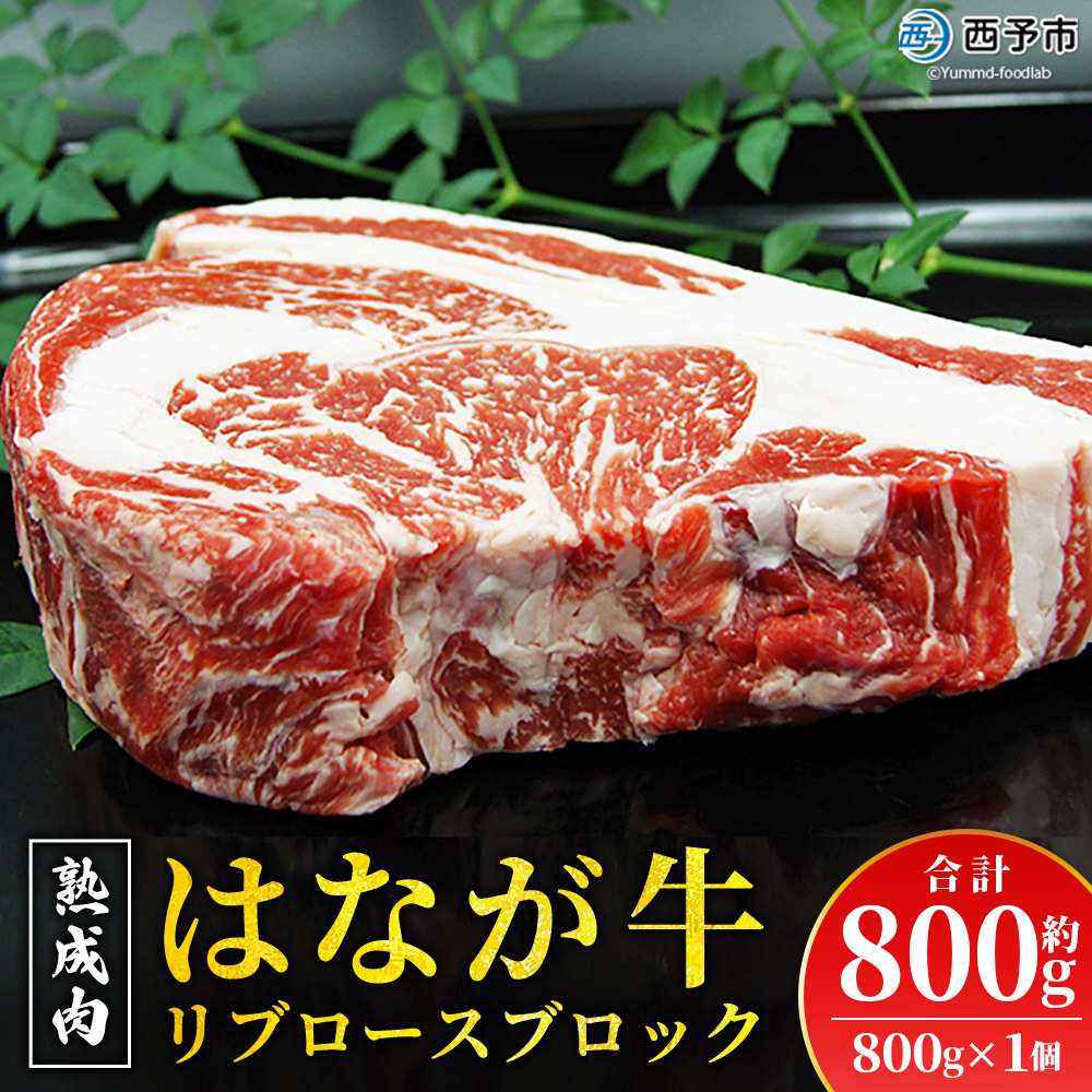 ＜熟成肉 はなが牛リブロースブロック約800g（800g×1個）＞ 牛肉 ステーキ 鉄板焼き 焼き肉 国産 塊肉 かたまり 霜降り しもふり バーベキュー BBQ キャンプ アウトドア 特産品 ゆうぼく 愛媛県 西予市
