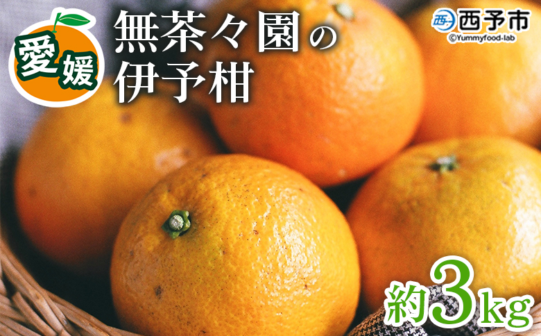 【先行予約】＜無茶々園の伊予柑 約3kg＞ 果物 いよかん イヨカン みかん ミカン 蜜柑 柑橘 フルーツ 期間限定 季節限定 特産品 愛媛県 西予市