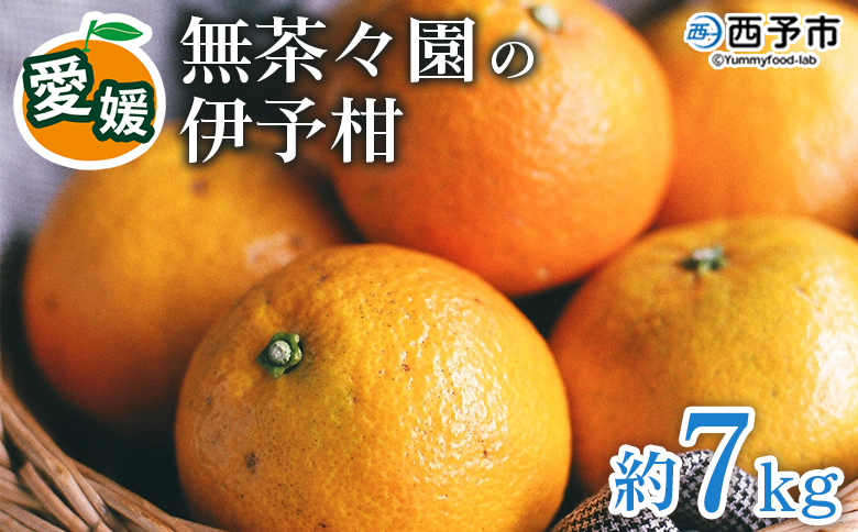 【先行予約】＜無茶々園の伊予柑 約7kg＞ 果物 いよかん イヨカン みかん ミカン 蜜柑 柑橘 フルーツ 選べる内容量 期間限定 季節限定 特産品 愛媛県 西予市