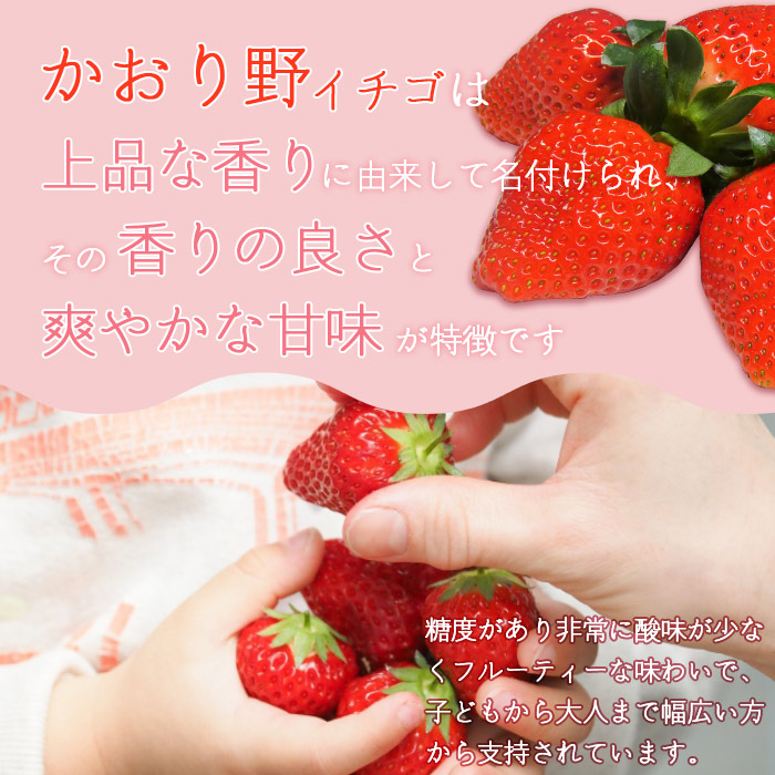 ＜イチゴ「かおり野」約280g×4パック 大竹農園直送＞ かおりの イチゴ いちご 苺 果物 くだもの フルーツ ストロベリー 旬 期間限定 季節限定 特産品 農家直送 産地直送 愛媛県 西予市