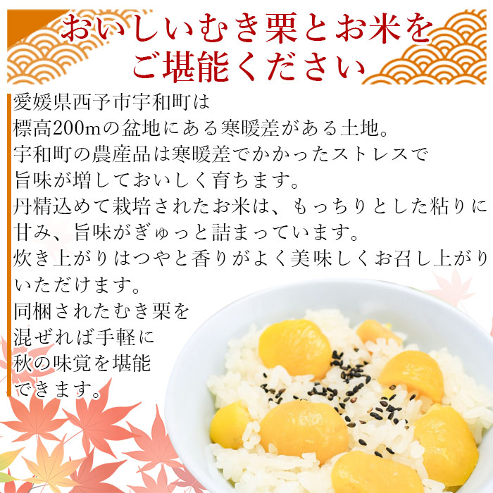 ＜愛媛県西予市産 栗ご飯セット（むき栗 150g×3袋・コシヒカリ 2kg）＞ クリ 和栗 米 くりごはん 秋の味覚 愛媛県 西予市