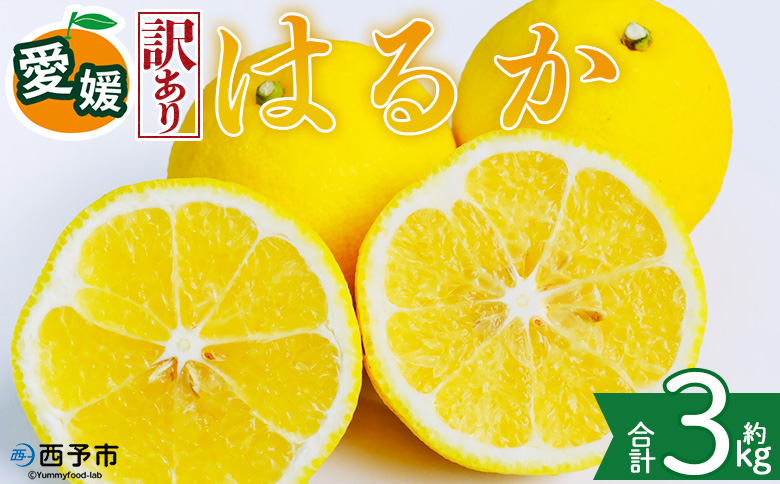 ＜【訳あり】愛媛県産 はるか 約3kg＞『2027年2月中旬～3月上旬迄順次発送予定』わけあり 訳アリ 果肉 ハルカ 産地直送 みかん 蜜柑 訳あり 果物 くだもの フルーツ ミカン 果汁 国産 特産品 株式会社三代目みかん職人 愛媛 西予市【常温】