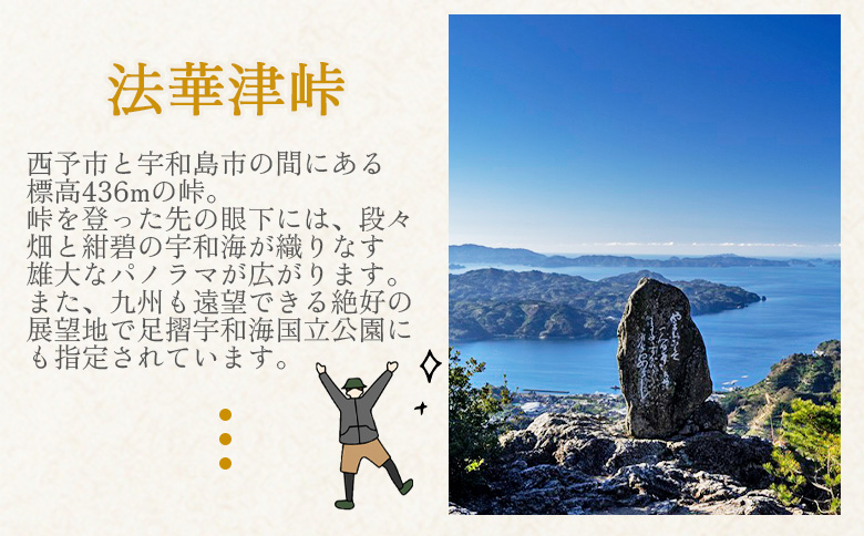 ＜ジオをまるごと楽しむE-BIKEライドツアー 宇和盆地編 （参加人数1名）＞ サイクリング 体験 ツアー 自転車ツアー アウトドア ガイド付き 観光 地域観光 絶景サイクリング Eバイク グルメ ランチ付き 初心者歓迎 旅 非日常 体験型 西予市観光物産協会 愛媛県 西予市
