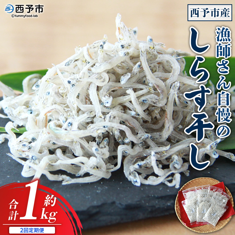 ＜漁師さん自慢のしらす干し 合計1kg 2回定期便＞ 定期便 シラス 魚介類 さかな 海産物 海鮮 海の幸 小分け 国産 ご飯のお供 丼 晩酌 おかず 特産品 濵田水産 愛媛県 西予市