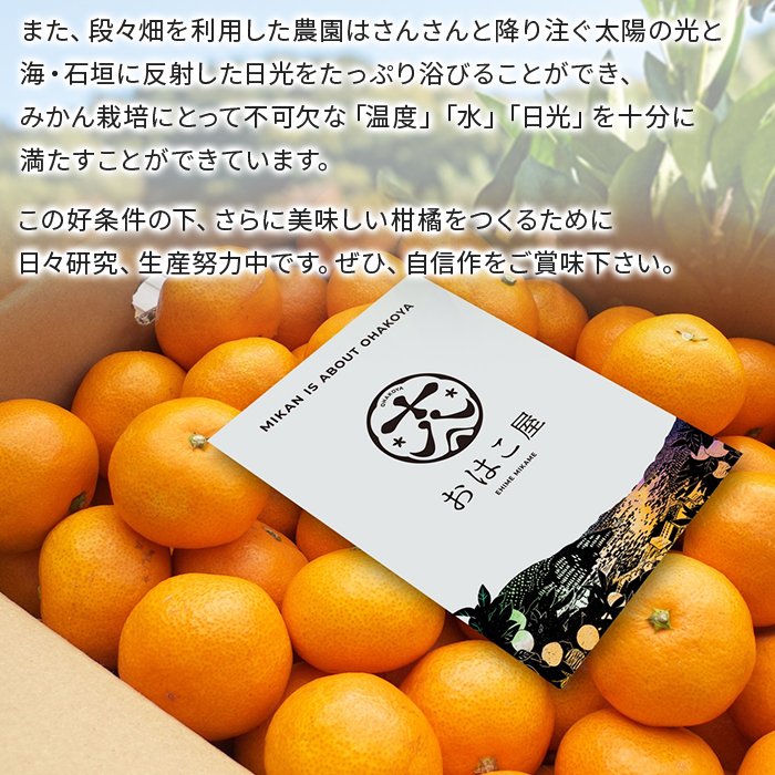 ＜おはこやがつくる 高品質みかん 約3kg（S～Lサイズ）＞ 果物 フルーツ 柑橘 ミカン 蜜柑 特産品 西宇和 愛媛県 西予市